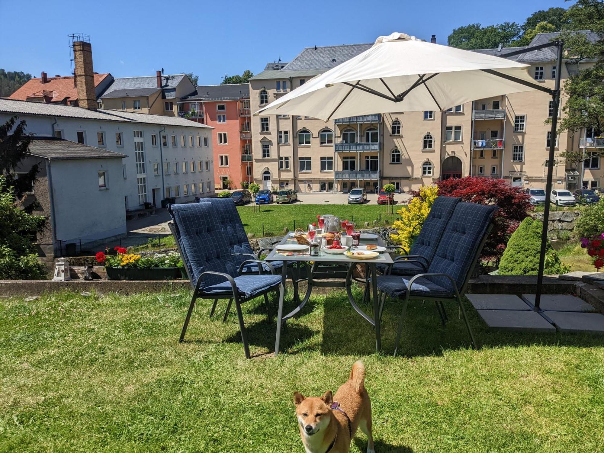 Hw2B - Urlaubsmagie - Wohlfuehlwohnung Mit Balkon, Pool, Sauna & Terrasse Sebnitz Eksteriør billede