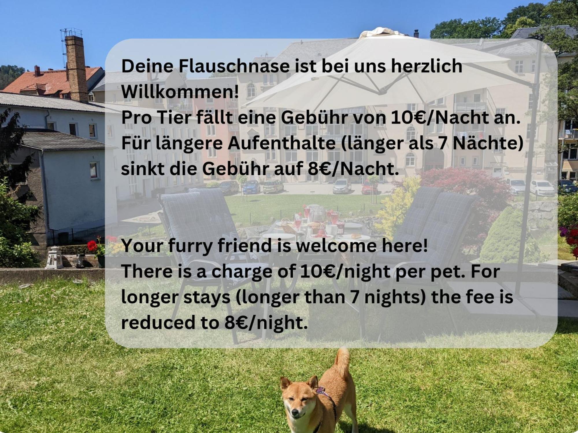 Hw2B - Urlaubsmagie - Wohlfuehlwohnung Mit Balkon, Pool, Sauna & Terrasse Sebnitz Eksteriør billede
